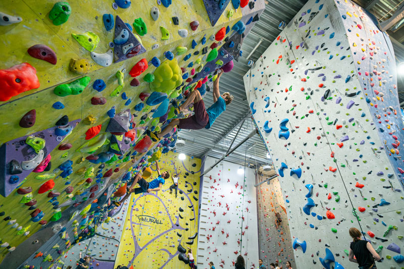 Zajęcia indywidualne